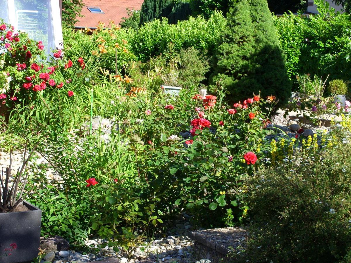 Mittenbach Oberhaslach Luaran gambar